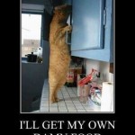 02e12a37628126abe488ada9b95d9c9c