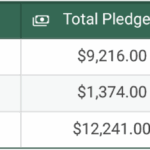 Kickstarter-overview